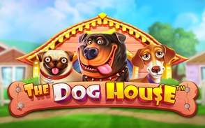 Играть в Dog House